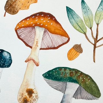 Classes aquarel·la