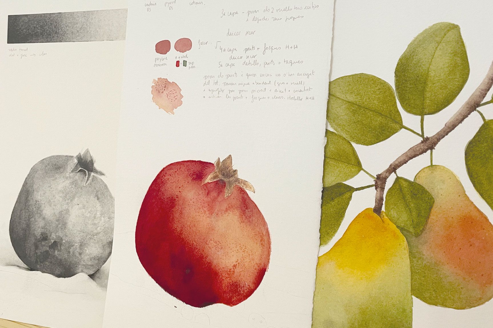 Classes aquarel·la