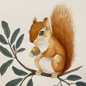 Classes aquarel·la