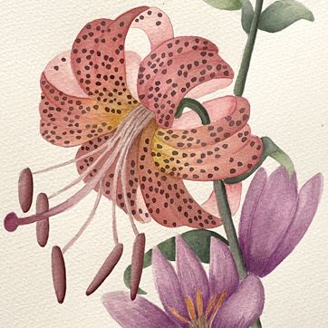 Classes aquarel·la
