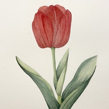 Classes aquarel·la