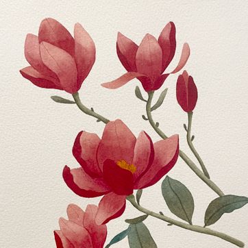 Classes aquarel·la