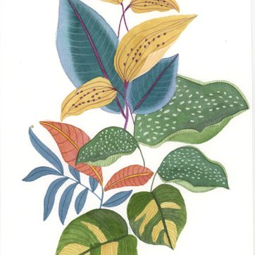 Classes aquarel·la