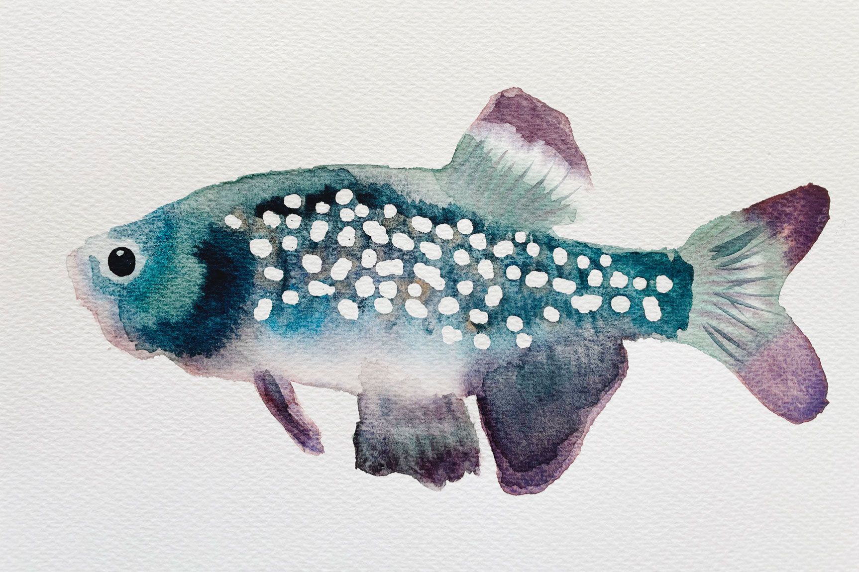 Classes aquarel·la Ruseta Sá