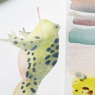 Classes aquarel·la Ruseta Sá