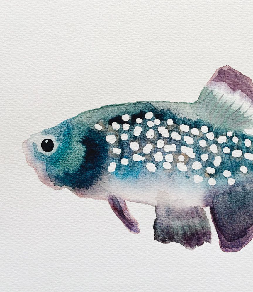 Classes aquarel·la Ruseta Sá
