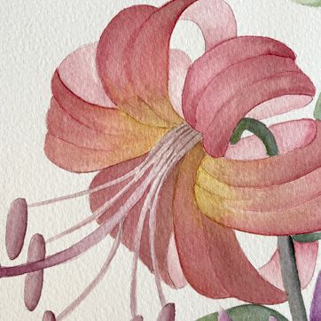 Classes aquarel·la Ruseta Sá