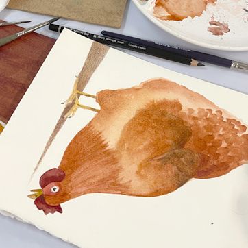 Classes aquarel·la Ruseta Sá