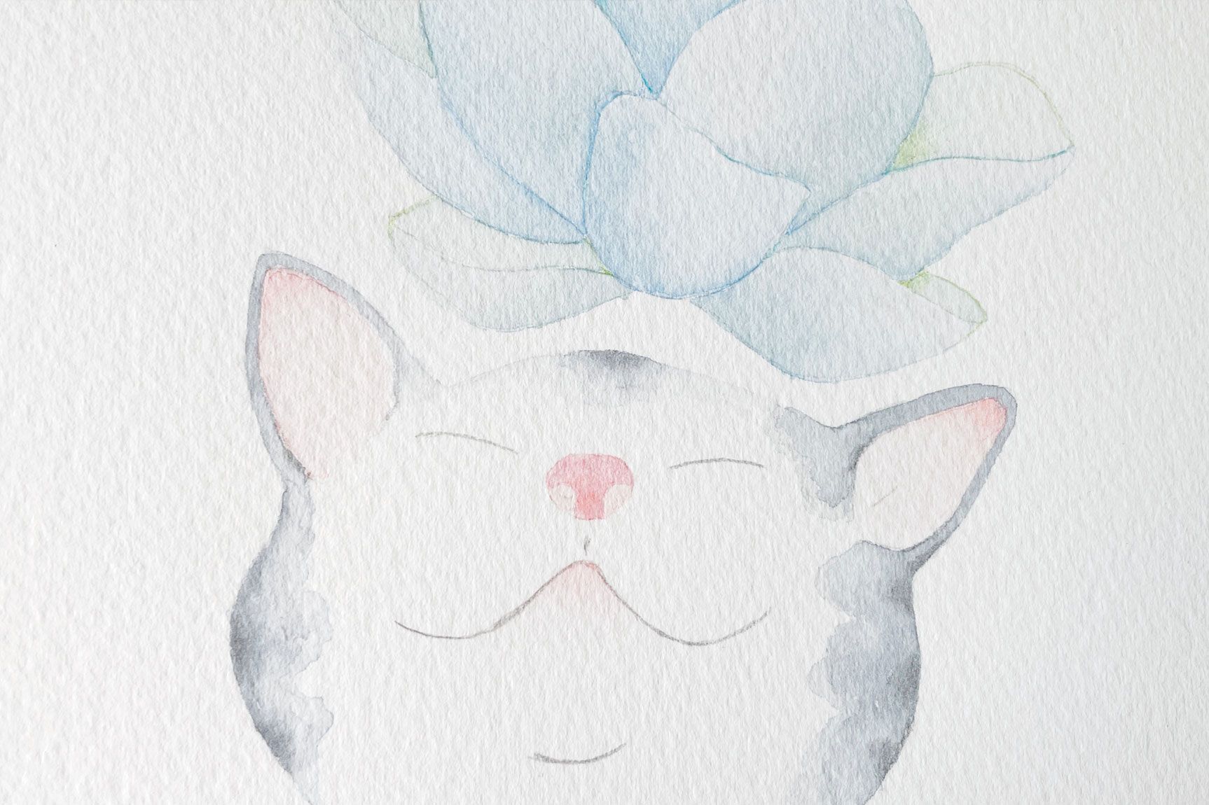 El gat i la flor de lotus, taller aquarel·a Ruseta Sá