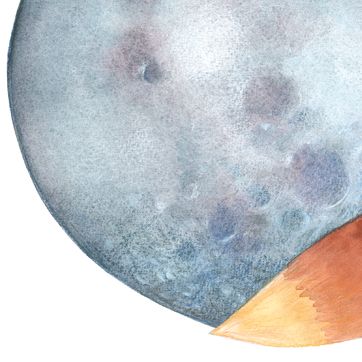 La guineu i la lluna, taller aquarel·la Ruseta Sá